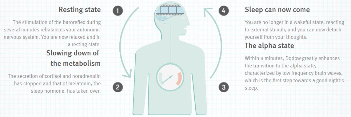 Dodow Advanced Animated infographics Image